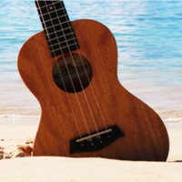 Holiday Open Hours and Shipping Dates